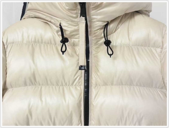 844f1a34e92ee572a3ca2f1d366cdb6c_1765322995_4342.jpg 844f1a34e92ee572a3ca2f1d366cdb6c_1765322995_4342.jpg