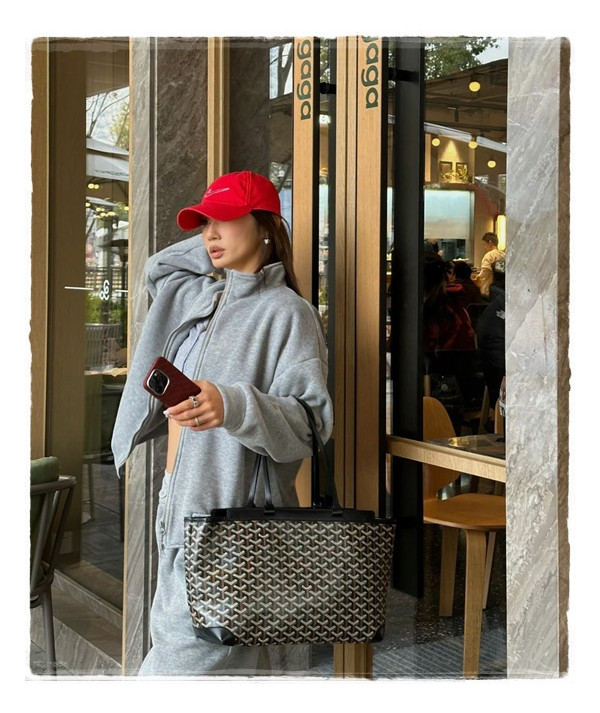 Bellechasse biaude 고야드 벨샤스 단정하면서도 실속만점의 BAG!